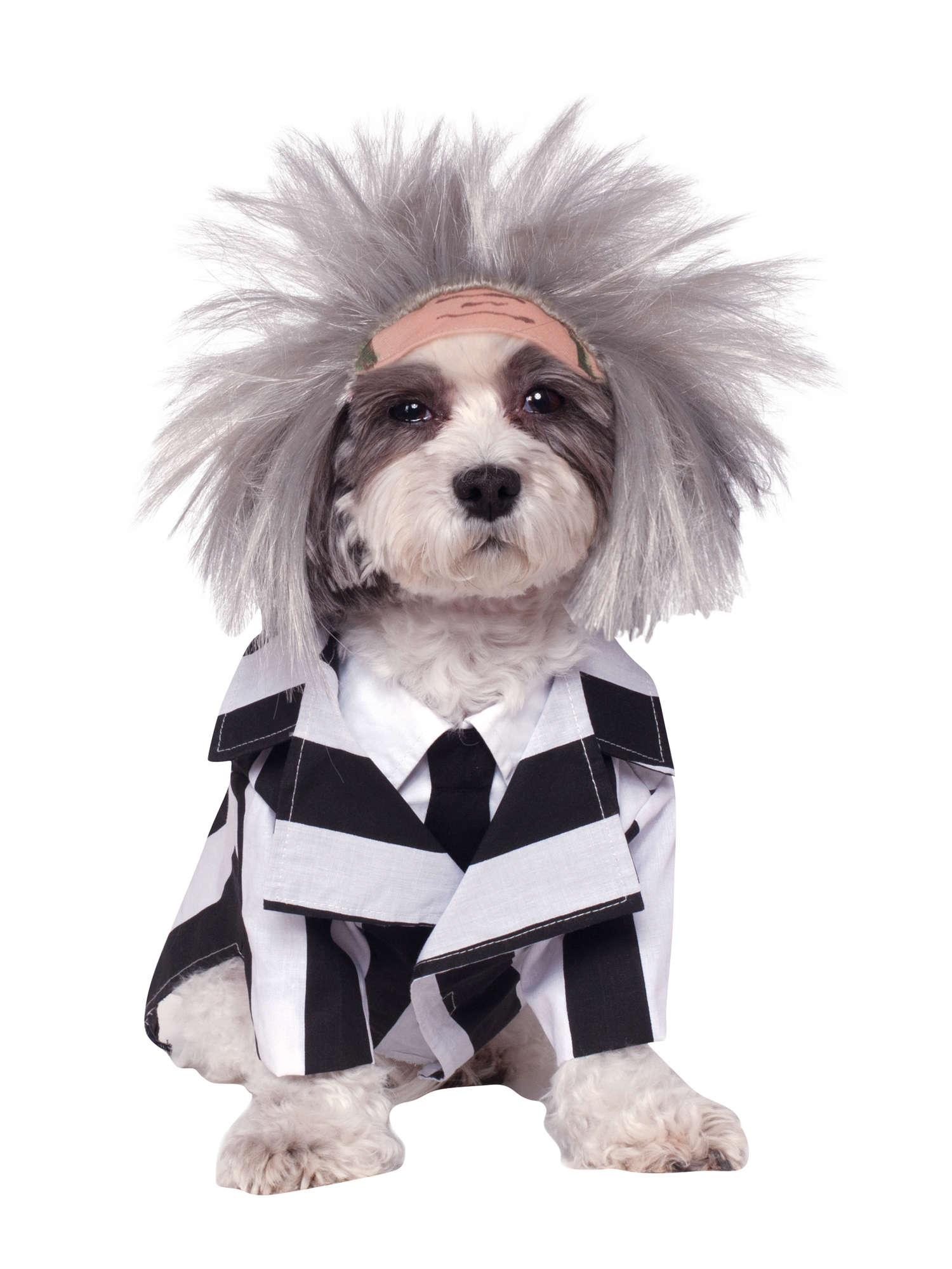 Beetlejuice Haustierkostüm
