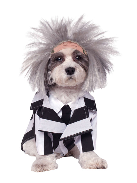Beetlejuice Haustierkostüm