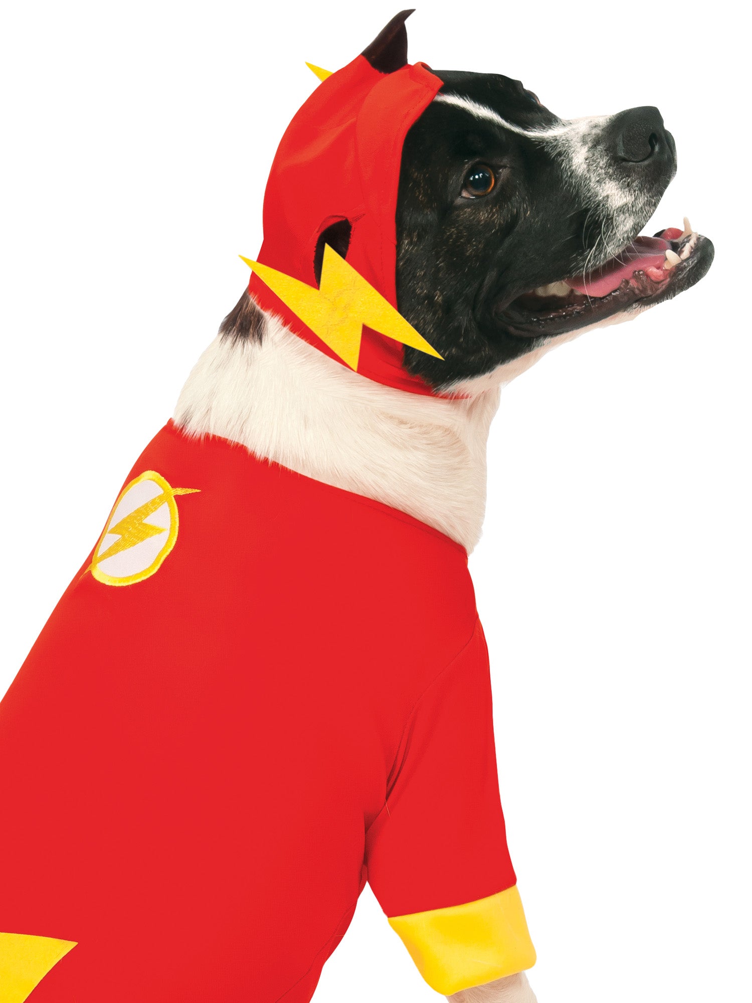 Flash Pet Kinderkostüm